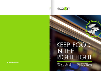 莱迪生印刷版本