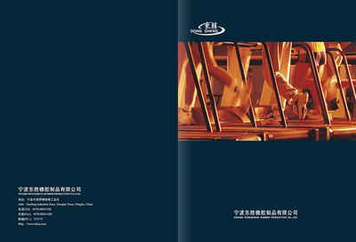 东胜公司样本集